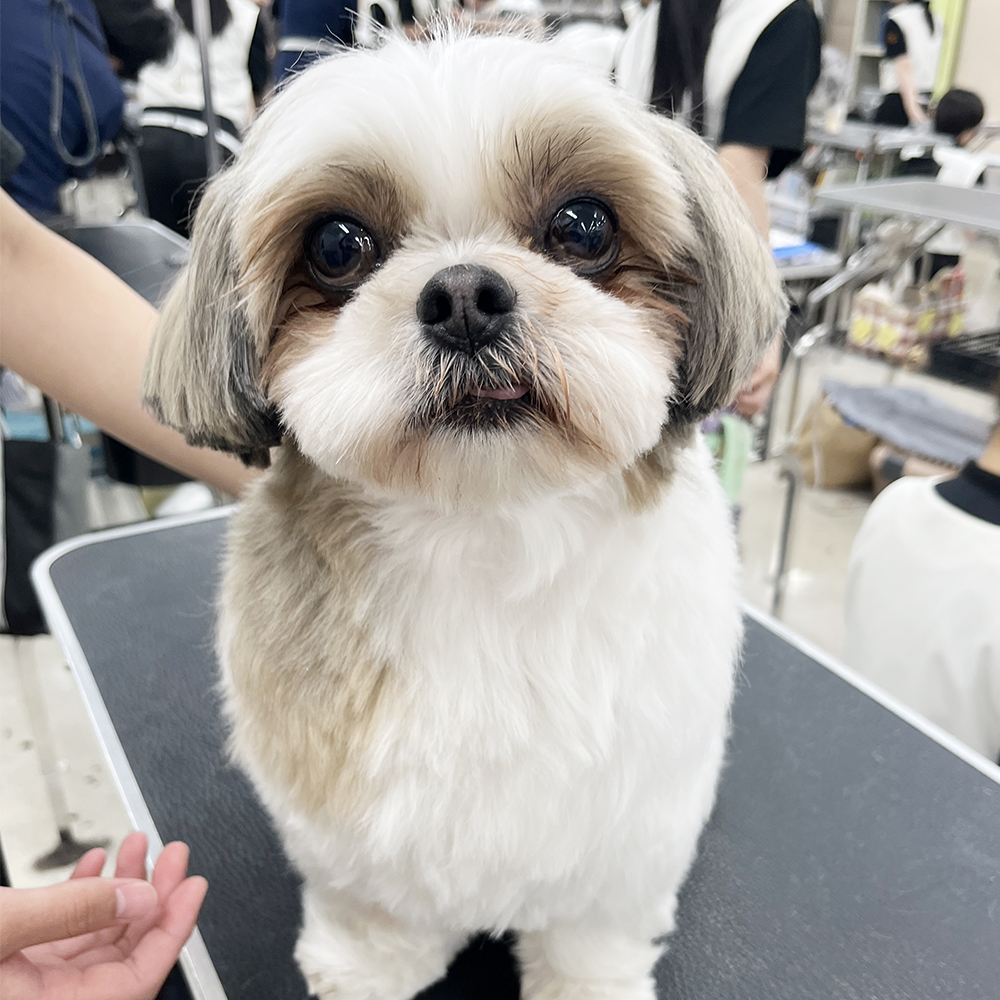 ２年生が担当しているかわいいお客様♪